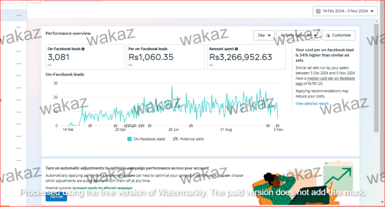 Meta ads campaign results