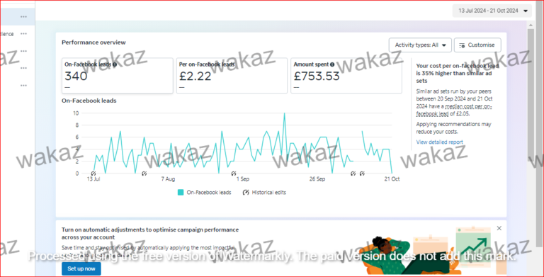 Meta ads campaign results