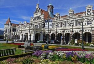 Google Ads Freelancer in Dunedin NZ