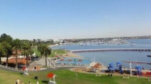 Google Ads Freelancer in Geelong Australia