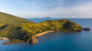 Google Ads Freelancer in Mackay Australia
